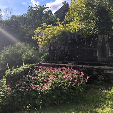 Le Figarelou Bed & Breakfast Thiézac Eksteriør bilde